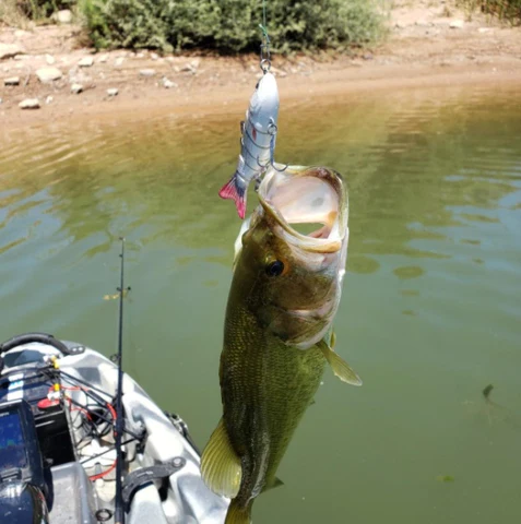 Online Store Lot de leurres de pêche articulés à 6 segments 5 pièces