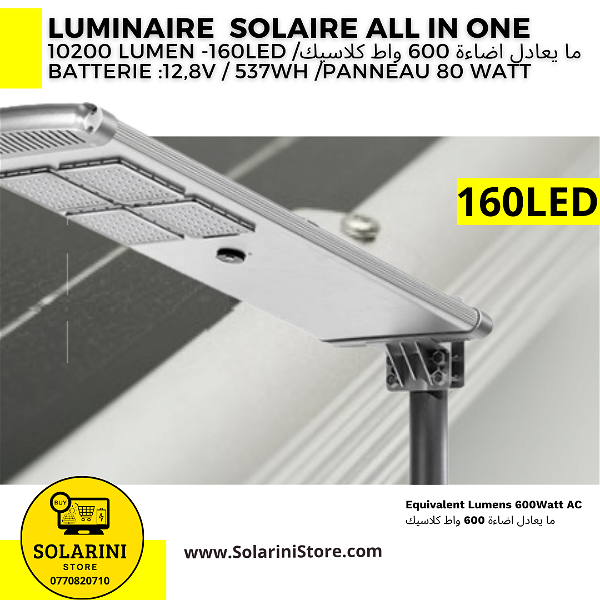 Luminaire énergie solaire ALL IN ONE 10200 Lumens-160 LED -panel 85W - 60000DA