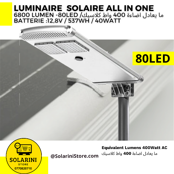 Luminaire énergie solaire ALL IN ONE 6800 Lumens-80 LED -panel 65W - 48000DA