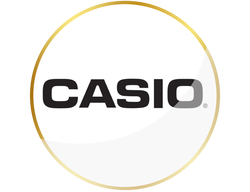 CASIO