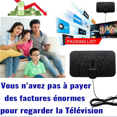 antenne câble HDTV Numérique