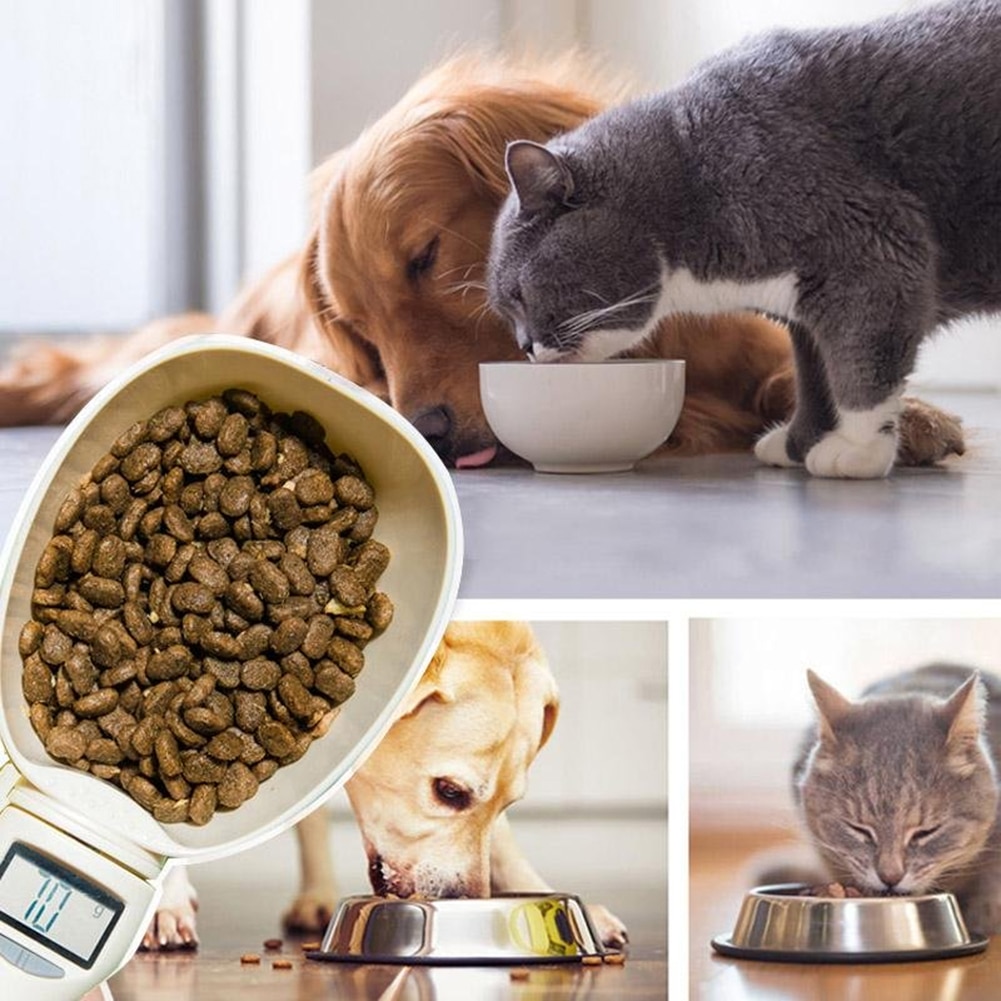 doseur-croquette-chien-cuillere-pese-croquette-gobelet-doseur-croquette