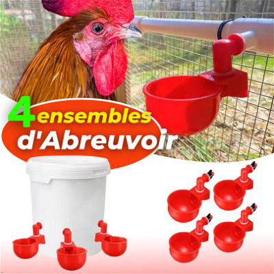 Abreuvoir  d'eau de poulet automatique