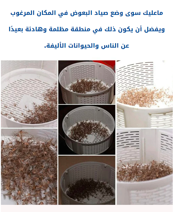 Screenshot_5