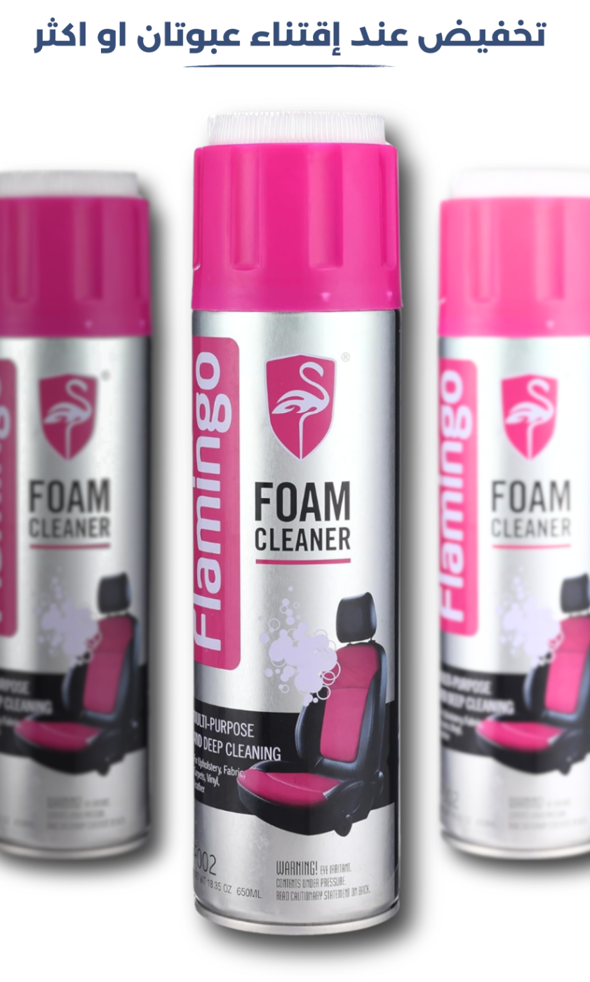 FOAM CAR CLEANER (1)