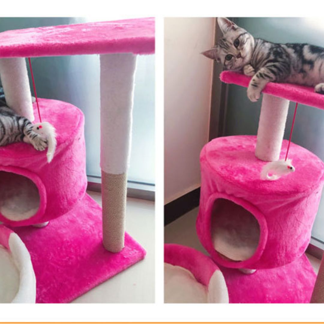 Design sans titre (18)